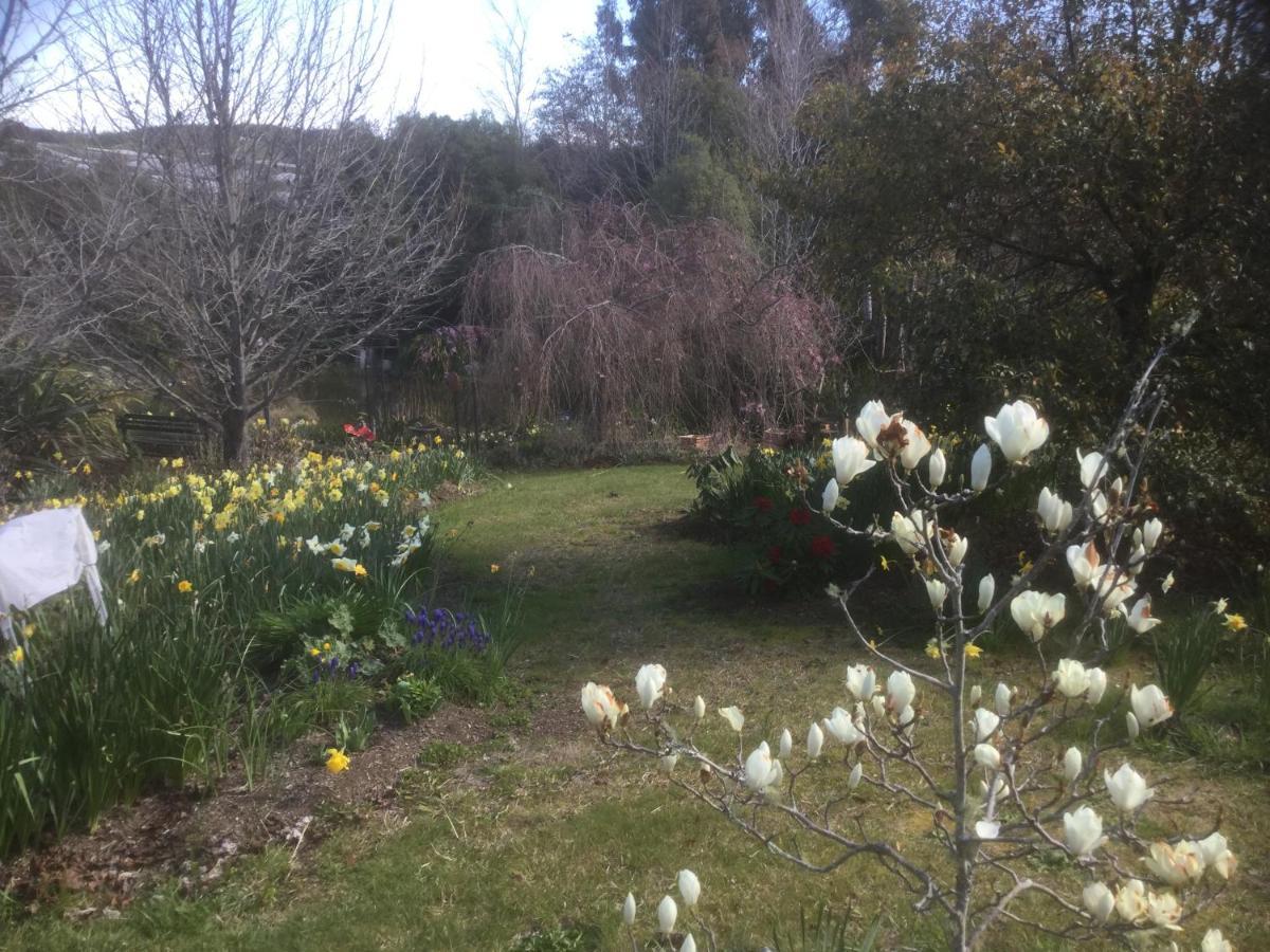 Mapua Garden B & B エクステリア 写真