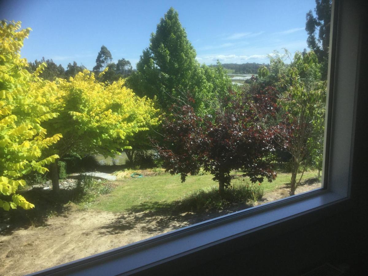Mapua Garden B & B エクステリア 写真